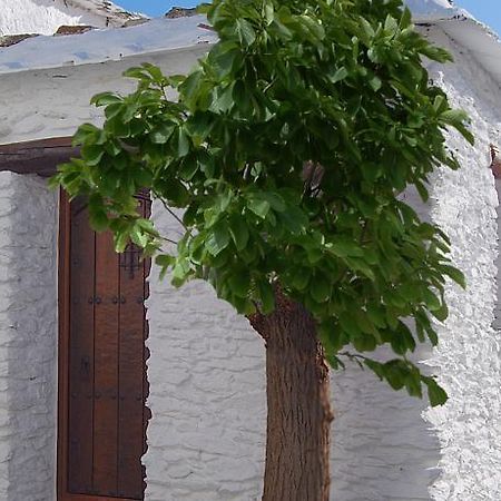 Casa El Rincon Del Angel Villa Bubión Стая снимка